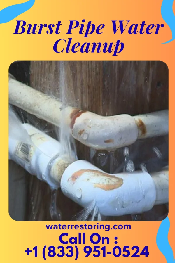 Burst Pipe Water Cleanup in Crookston, MN