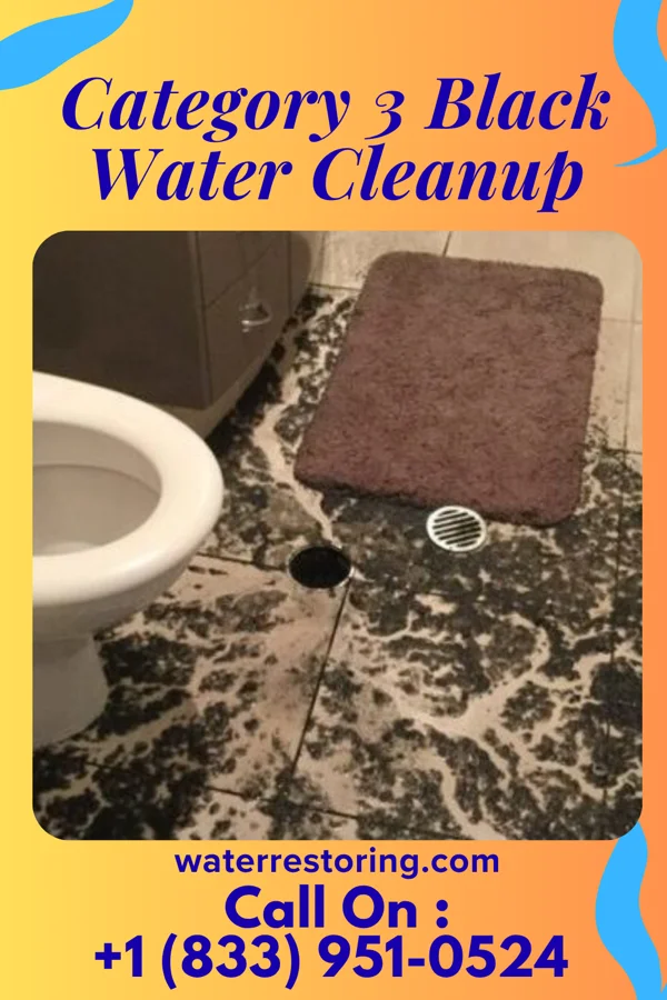 Category 3 Black Water Cleanup in Crookston, MN