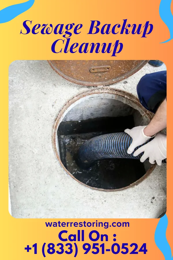Sewage Backup Cleanup in Crookston, MN