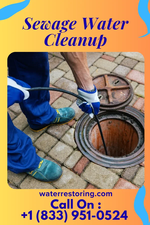 Sewage Water Cleanup in Crookston, MN