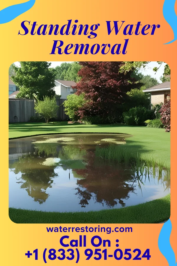 Standing Water Removal in Crookston, MN